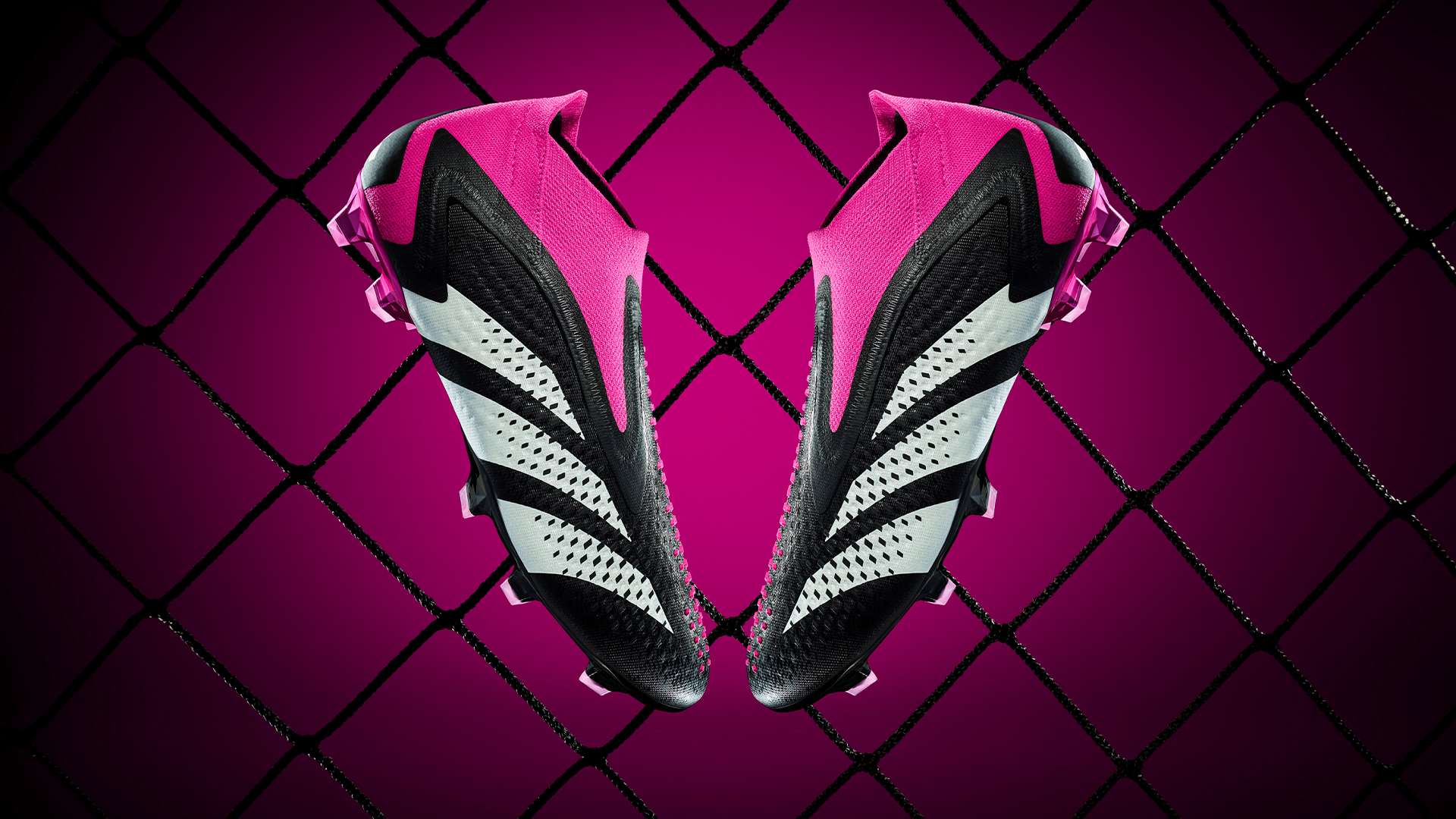 训练中引入 训练中引入