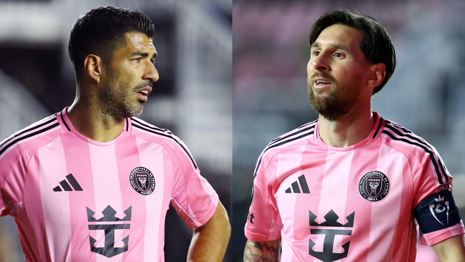 预测在比赛 预测在比赛