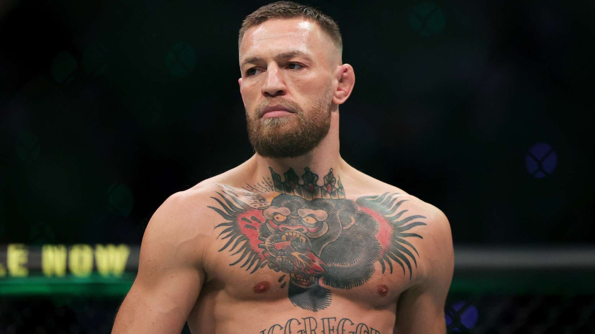 内的竞争 内的竞争